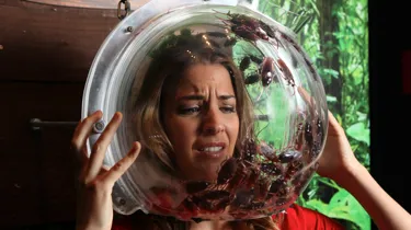 Gemma Atkinson in the jungle wax figure at Madame Tussauds Blackpool