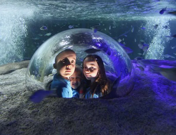 Sea Life Blackpool