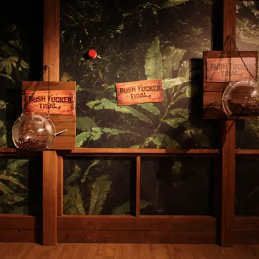 Creepy Crawlies Bushtucker Trial set at Madame Tussauds Blackpool