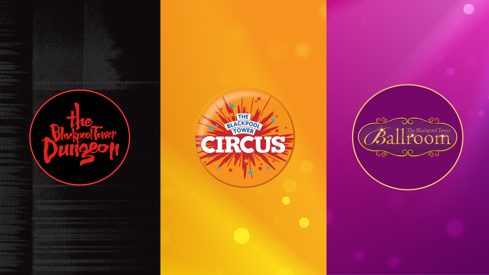 Visit Multiple Attractions