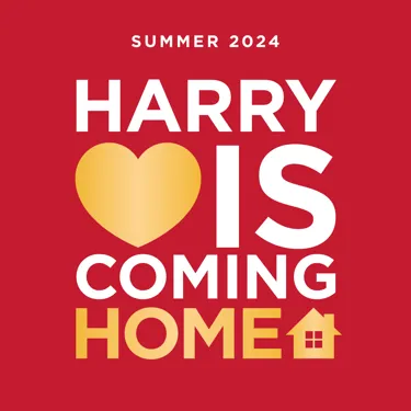 Harry S Pre Square