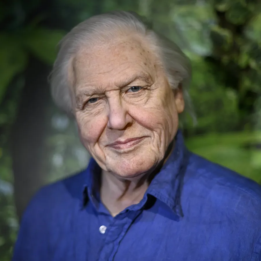 Ad Mt Attenborough 002