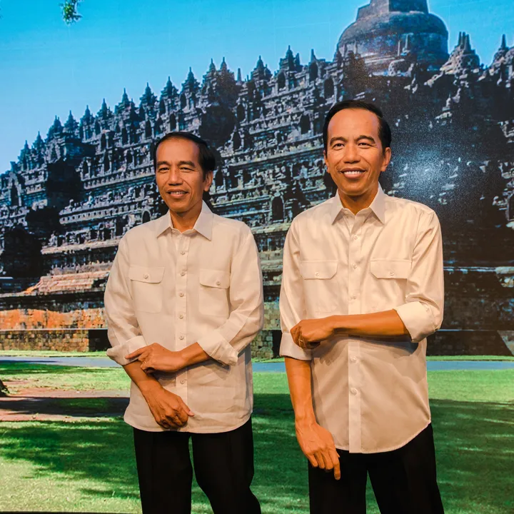 Widodo SBS