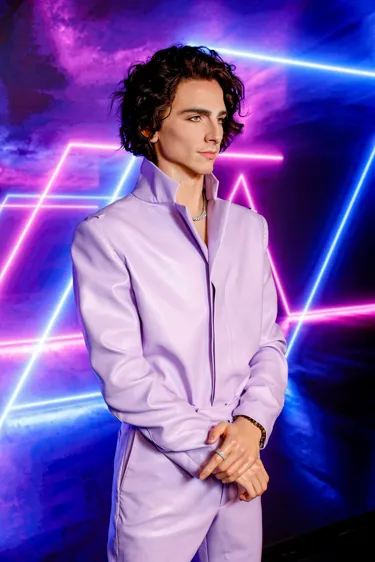 MTHK Timothée Chalamet (2)