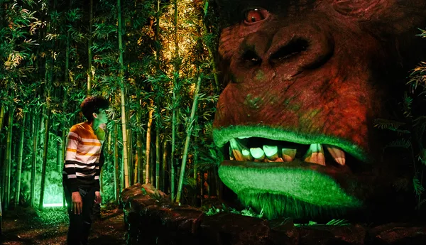 Kong Web