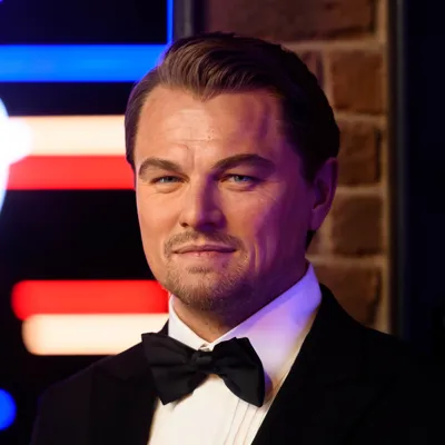 Leonardo DiCaprio figure
