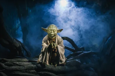 Dagobah at Madame Tussauds London