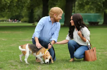 Harry & Meghan in the park