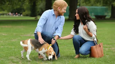 Harry & Meghan in the park