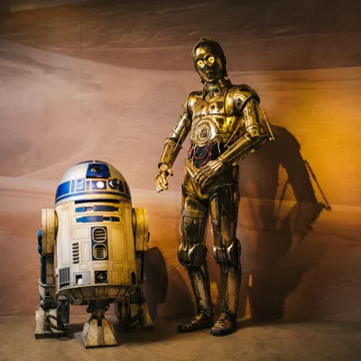 Fight to the Death, Darth Maul and Qui-Gon Jinn at Madame T…