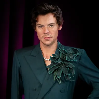 Harry Styles Square