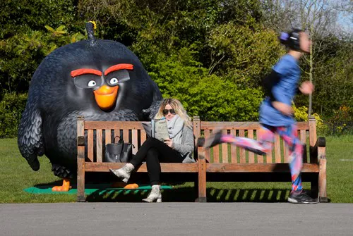 Angry Bird in a park