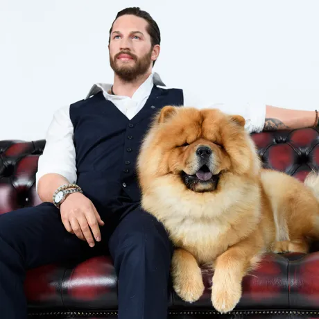 Tom Hardy arrives London