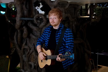 Ed Sheeran's figure