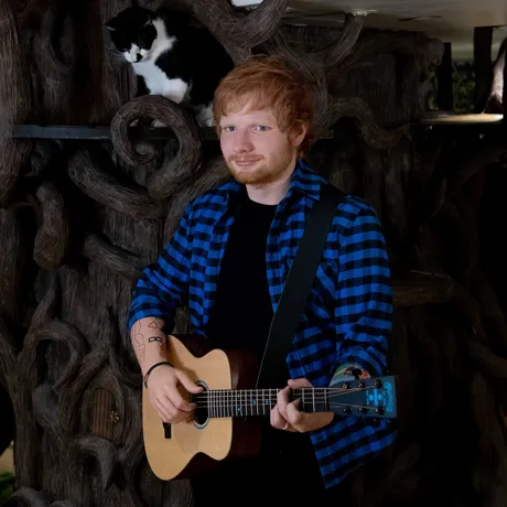 Ed Sheeran's figure