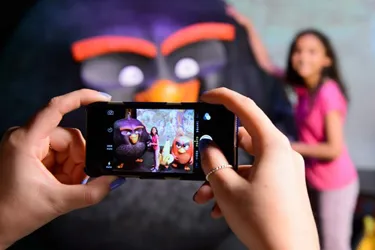 Angry birds in an image