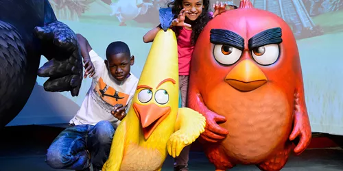 Angry birds launching at Madame Tussauds