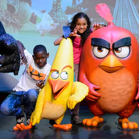 Angry birds launching at Madame Tussauds