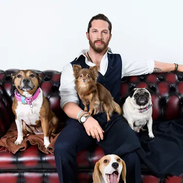 Tom Hardy figure surrounded by dogs at Madame Tussauds London