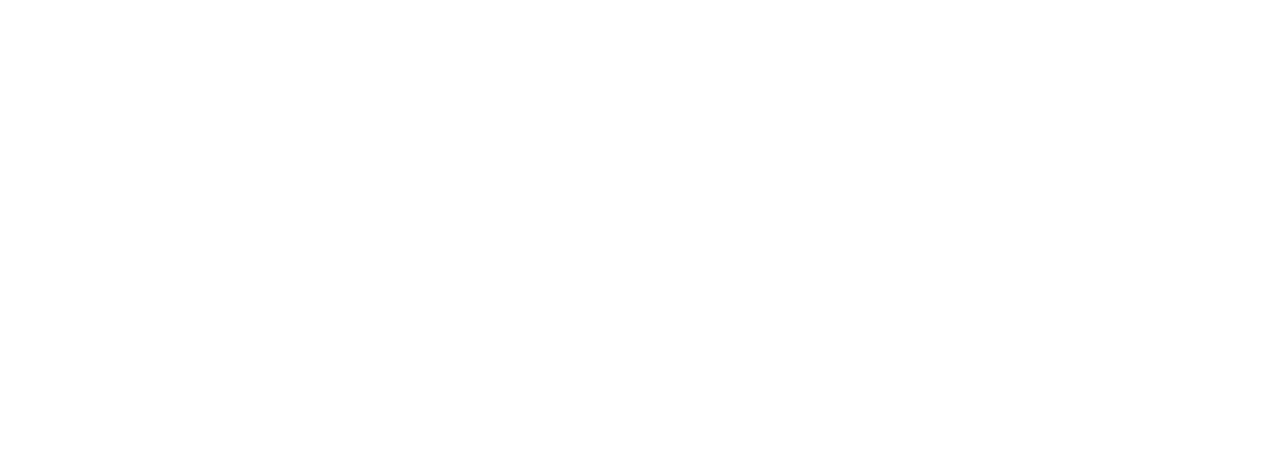 MT – Logo – New York – Horizontal White – RGB