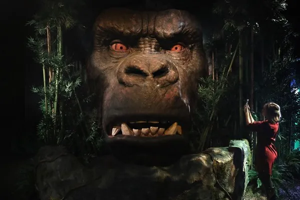 Kong Experiential