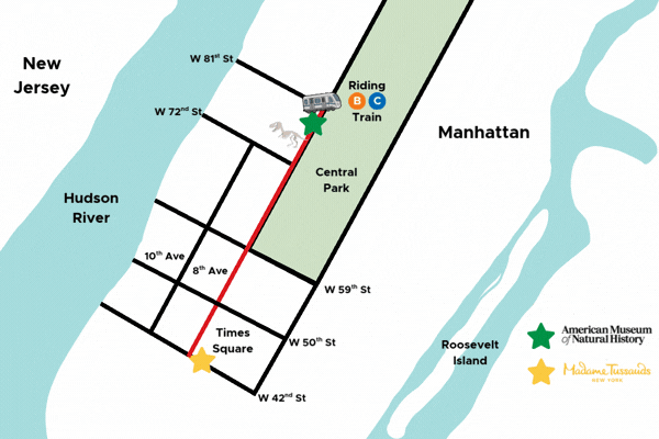 MTNY X AMNH MAP GIF
