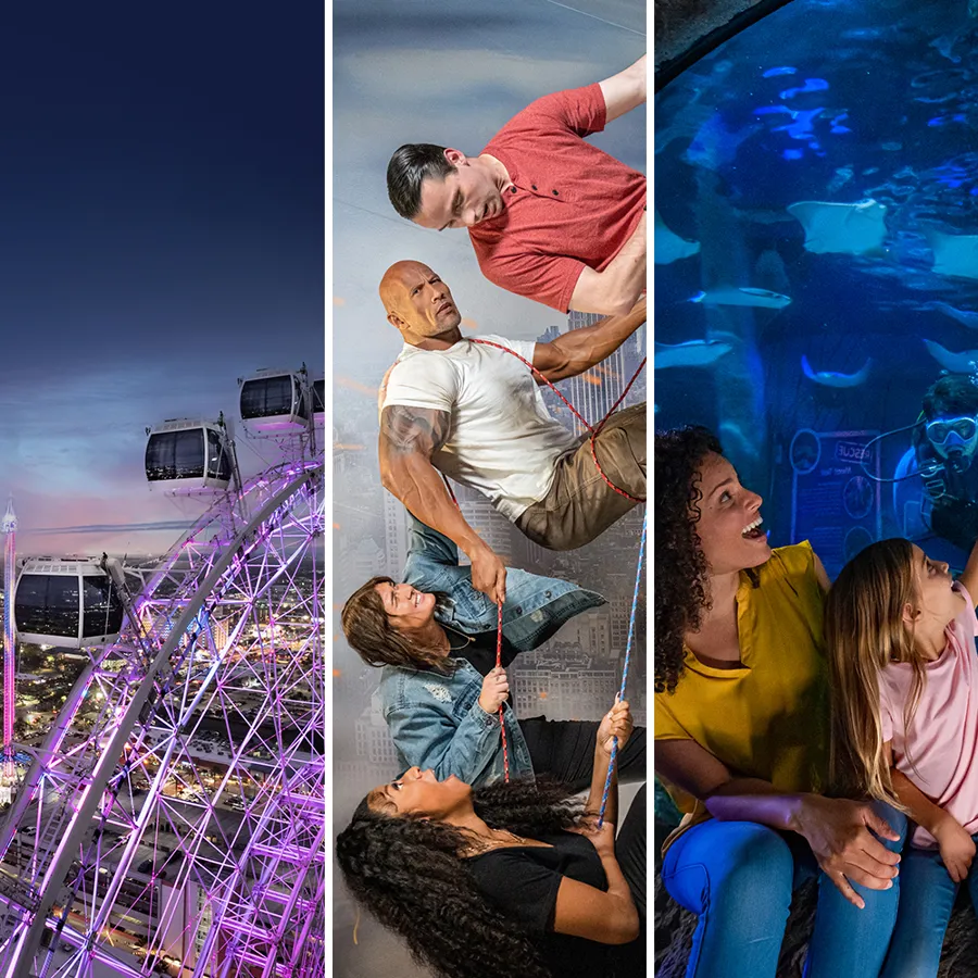 Annual Passes Madame Tussauds Orlando annual-passes-madame-tussauds-orlando