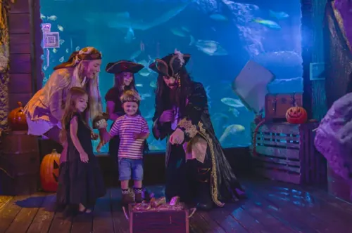 Pirates of the Haunted Seas