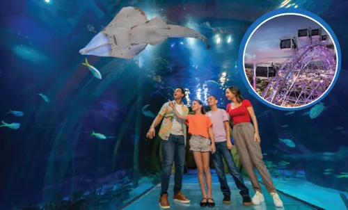 Icon Park attractions Orlando