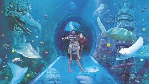 Visitors taking in the 360-degree view of the Ocean Tunnel at SEA LIFE Orlando