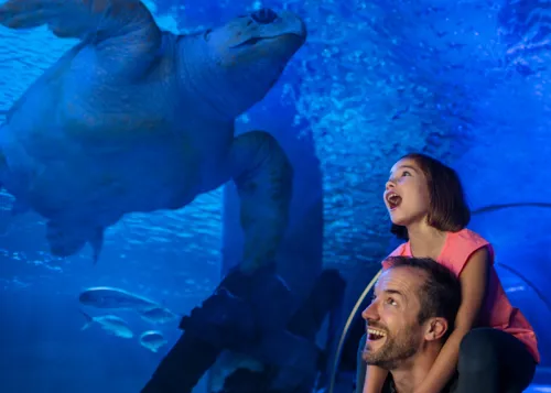 SEA LIFE Orlando Aquarium