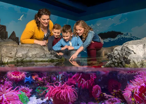 SEA LIFE Orlando Touch Tank