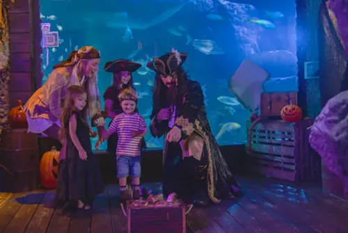 Pirates of the Haunted Seas