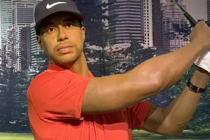 Tiger Wood Copy (1)