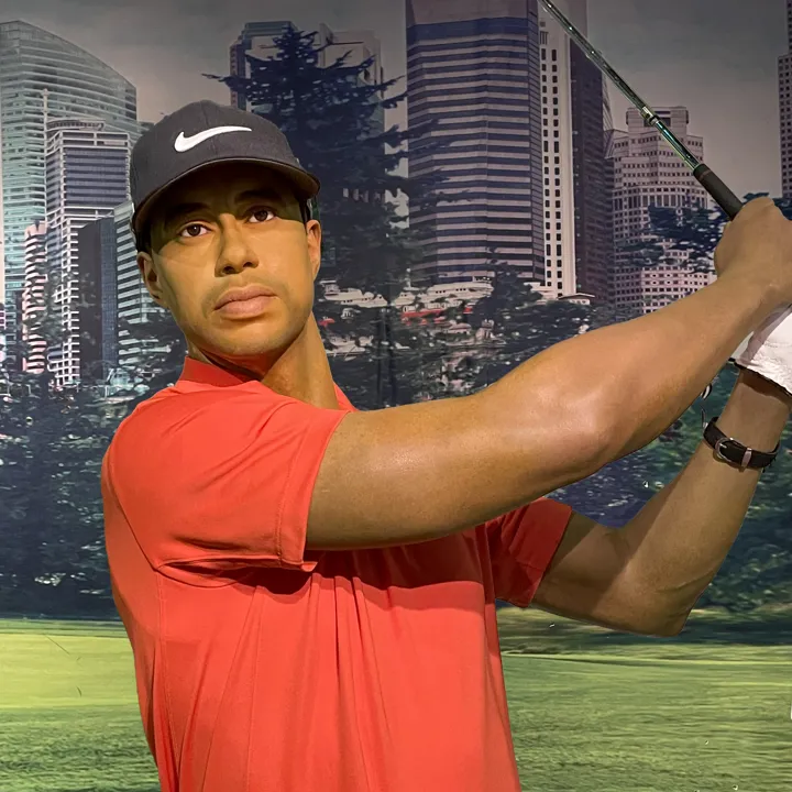 Tiger Wood Copy (1)