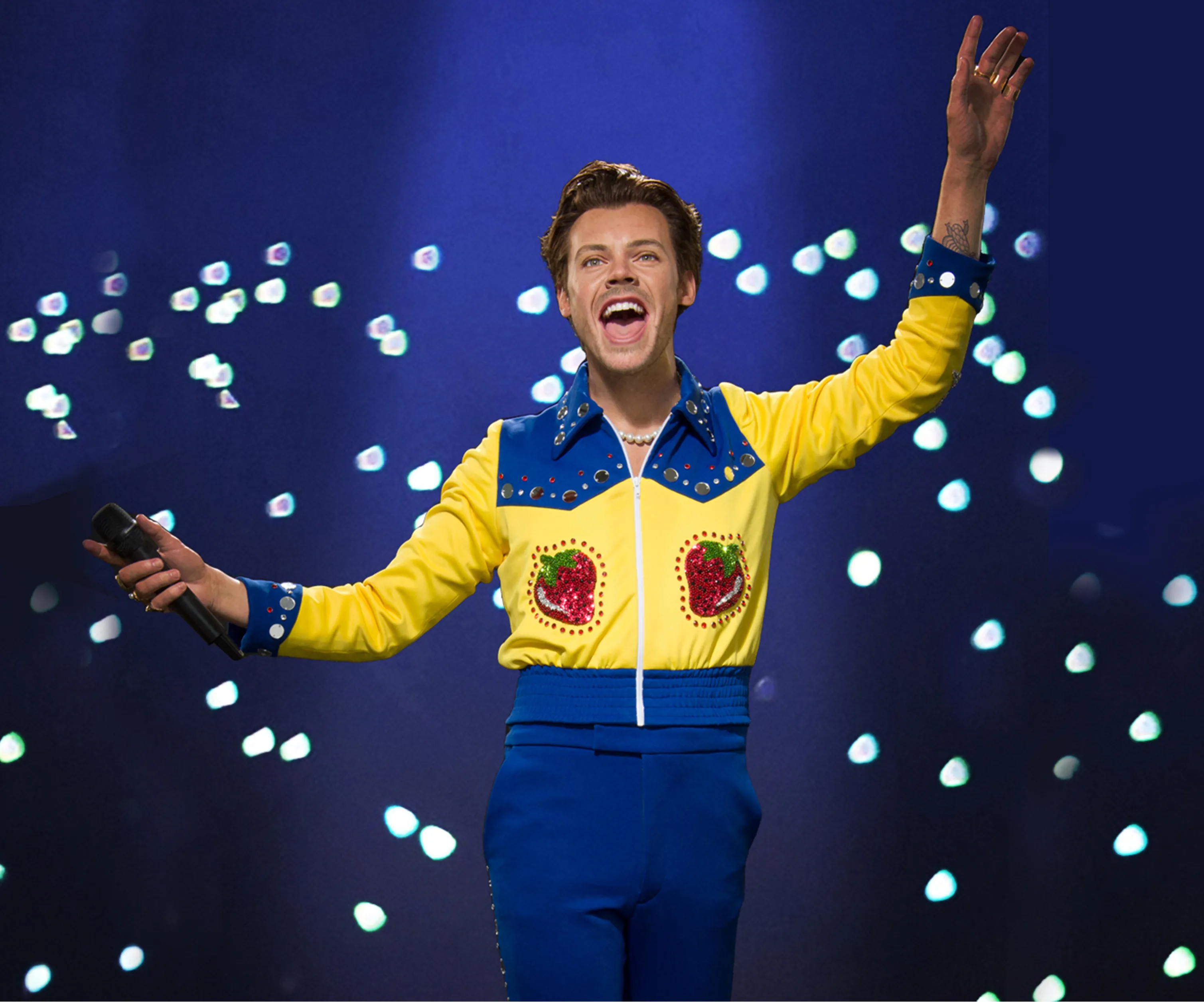 Harry Styles Wax Figure