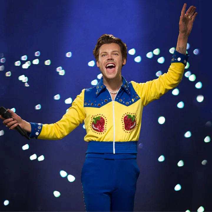 Harry Styles Wax Figure