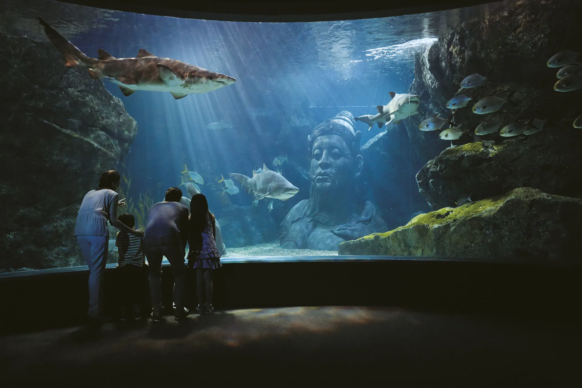 Siam Ocean World Day2 (30.11.57)3033 LO (1)