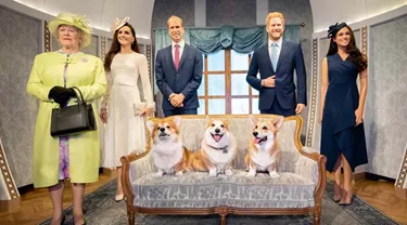 Royal Dogs News