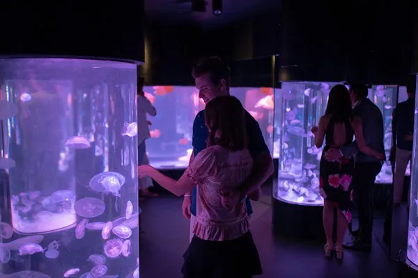 Sealifesydneyaquariumdiningexperience 3 12 18 43