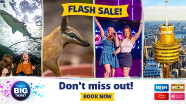 CLUSS Flashsale 600X314 EDM