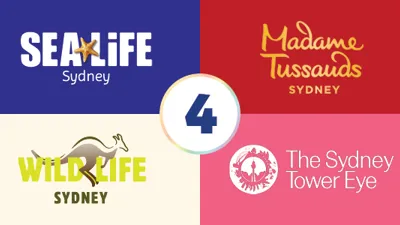 Decoys 600X300 4X4 4