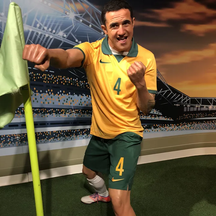 tim cahill punching corner flag