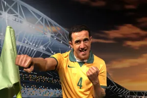 tim cahill punching corner flag