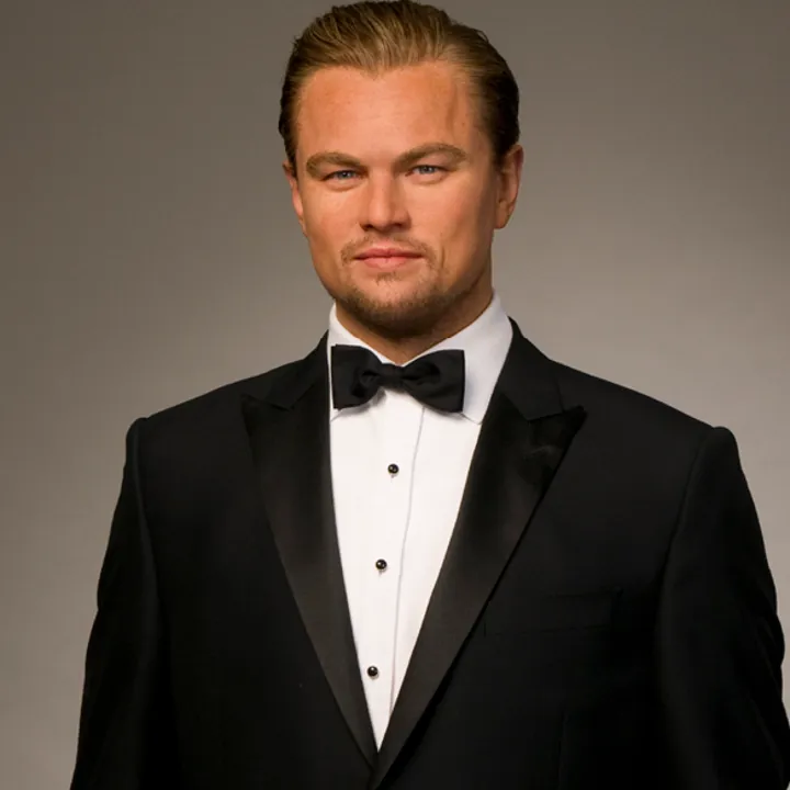 Leonardo Dicaprio Party 2