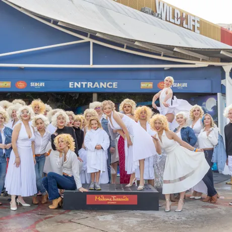 Marilyn Monroe Challenge Group 2