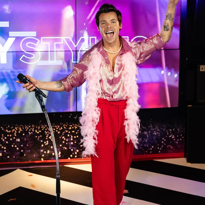 Harrystyles Benholgate 5361