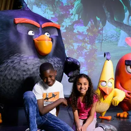 Angry Birds News