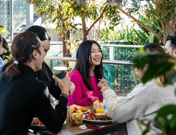WLSZ Breakfast With The Koalas