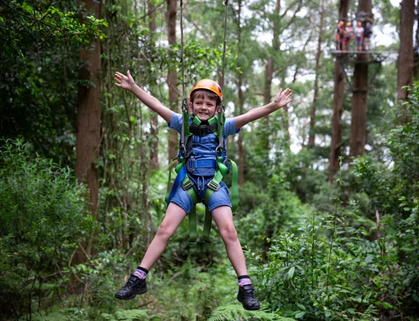 IFLY Zipline